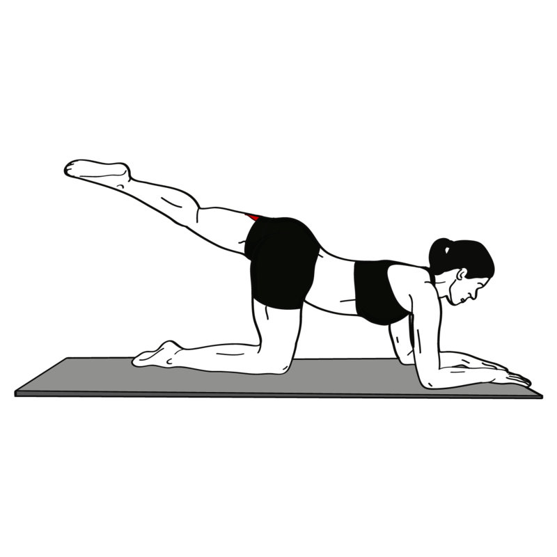Beinrückheben einbeinig im Unterarmstütz Übung - Richtige Ausführung