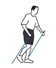 Nordic Walking Phase 2 - Technikschulung